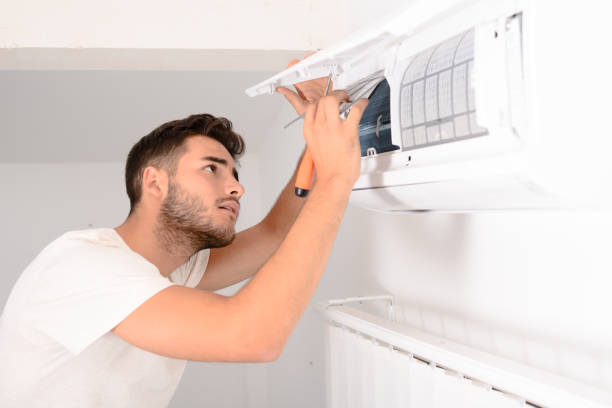 Best Air Duct Mold Removal  in Punxsutawney, PA